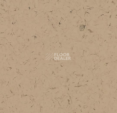 Кварцвиниловые полы Forbo Allura Colour/Colour Plus C68014-651014 cafe au lait фото 1 | FLOORDEALER